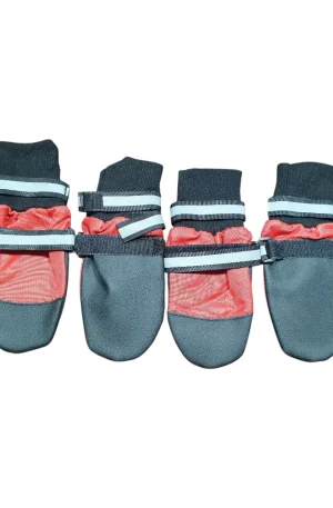 Botas Zapatos Impermeable Invierno y Lluvia Para Perro Gde