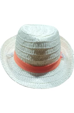 Sombrero para Perros y Gatos Estilo Veracruzano, Gorra de Paja para Mascotas en Celebraciones y Sesiones Fotográficas, (medidas 10 * 11 cm)