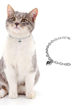 Collar para perro y gato de acero inoxidable ajustable con dije en forma de huella para mascotas pequeñas, gatos, gatitos, cachorros, Color Dorado, Talla Chica