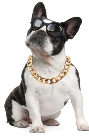 Collar de Perro de Metal, Collar Perro Cadena Dorada con Cierre Seguro, Collares Estilo Cubano 19 mm Ancho para Perros Grandes y Medianos